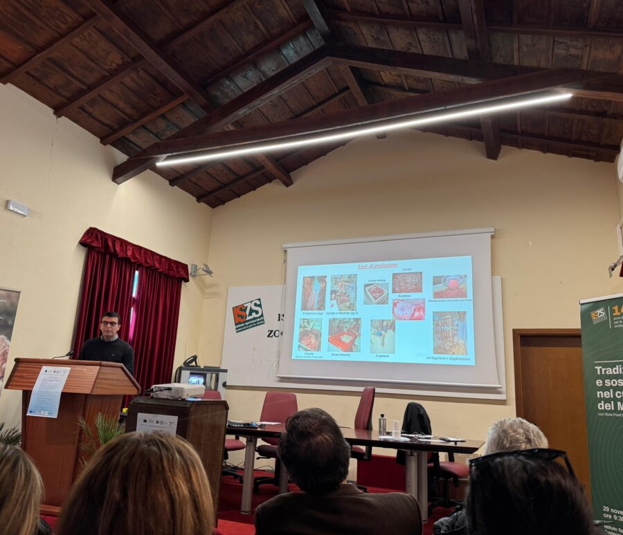 Seminario SIPAOC