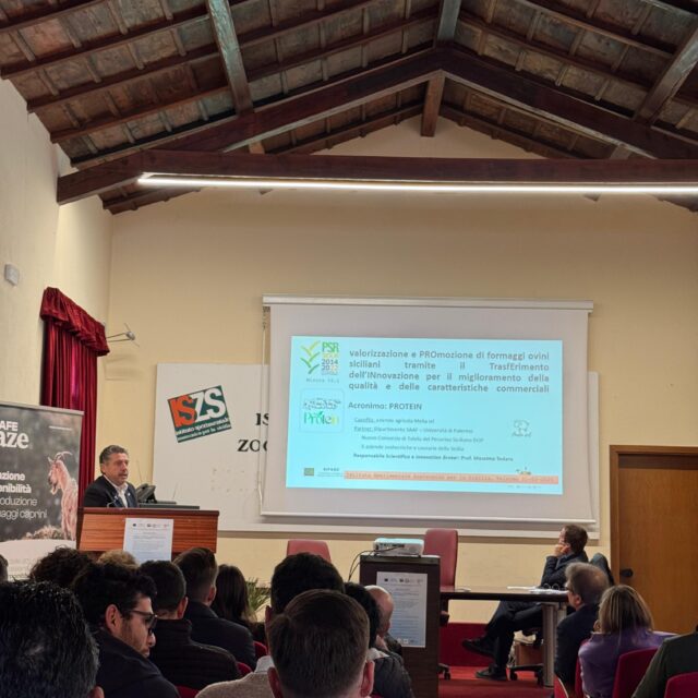 SEMINARIO SIPAOC - 21/02/2025 - 2